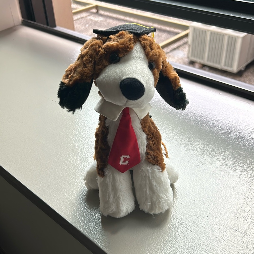 Cornell University Graduation Dog Plushie
